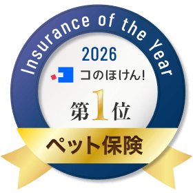 1位