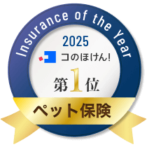 1位