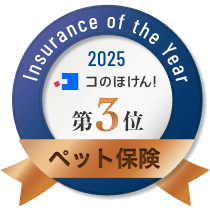 3位