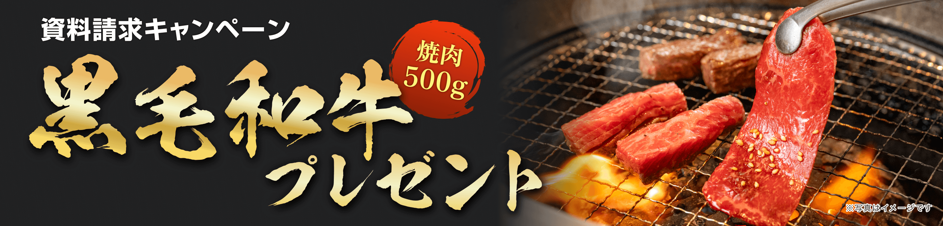 生命保険の資料請求で九州産黒毛和牛おまかせ焼肉(500g)プレゼント!